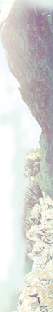 jst.jpg (38059 bytes)