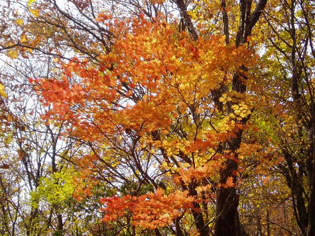 辽宁本溪关门山旅游风景区